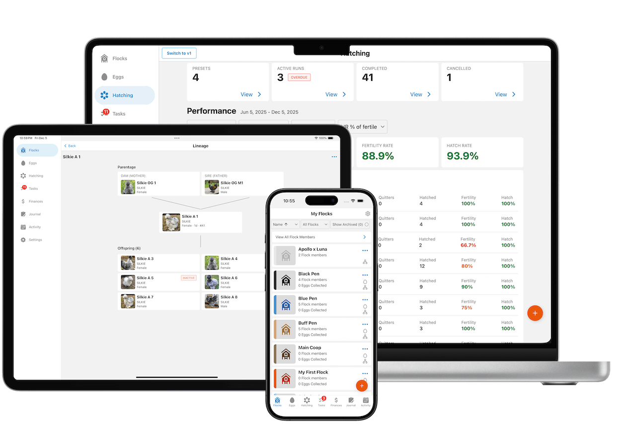 Flockstar on iPhone, iPad, and web