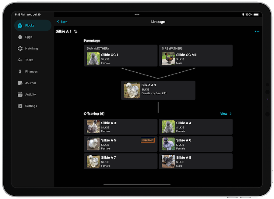 Breeding lineage interface showing family trees
