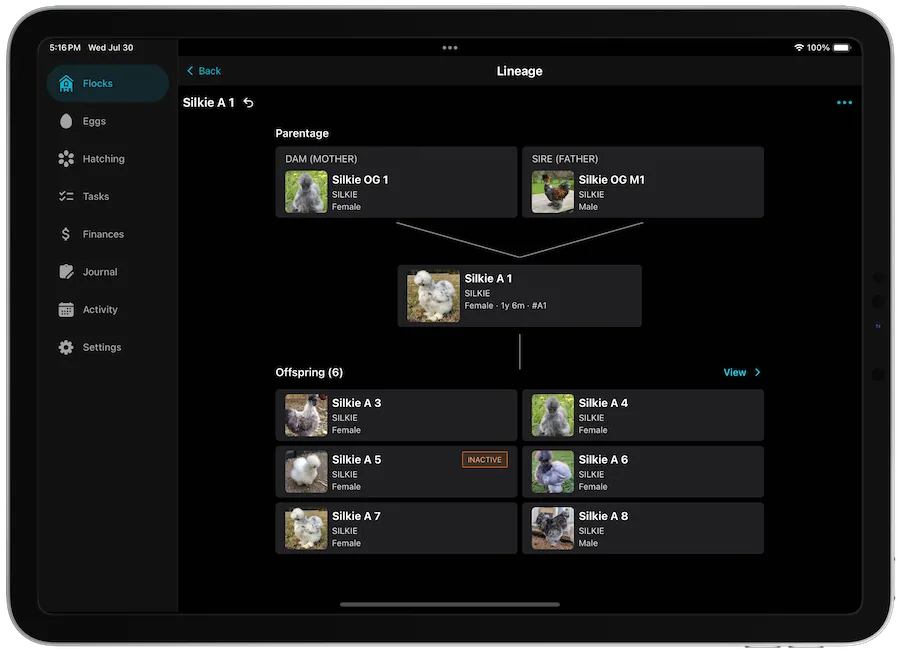Breeding lineage interface showing family trees
