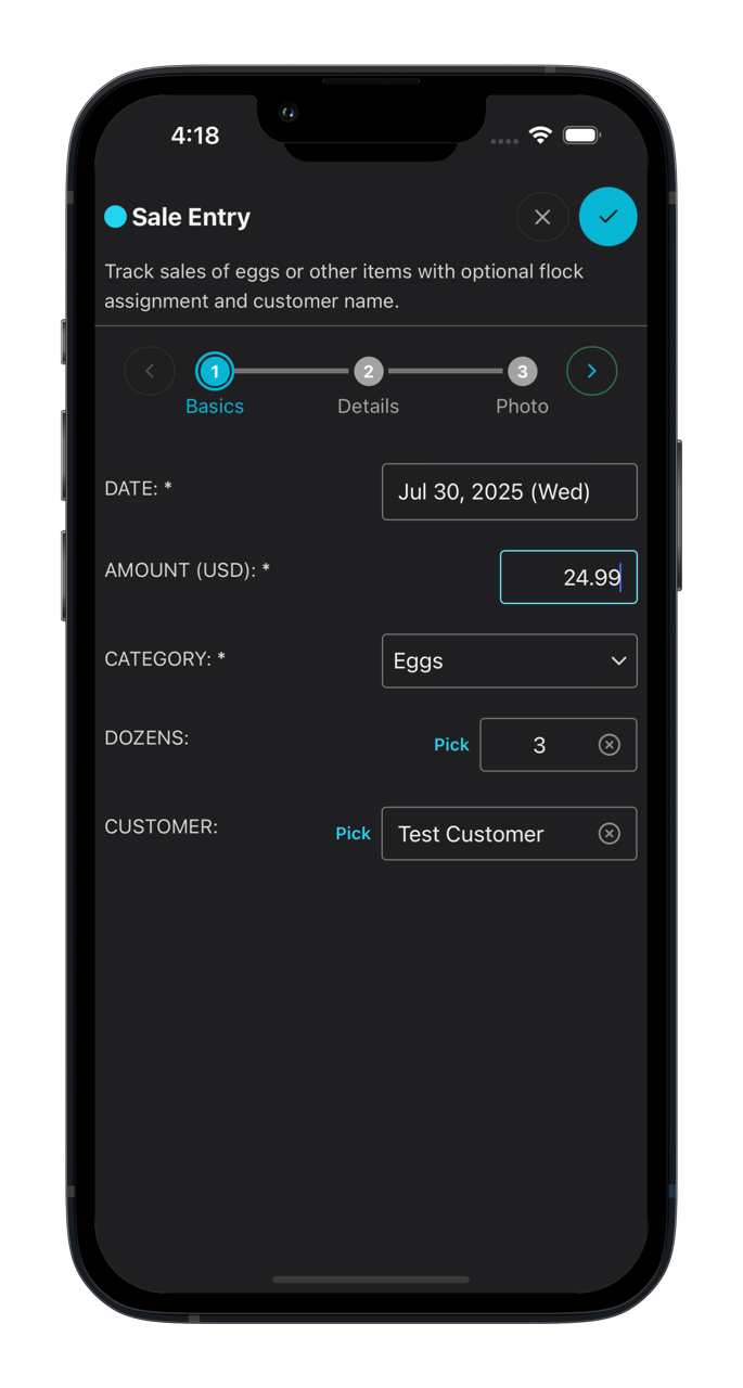Journal entries for financial record keeping