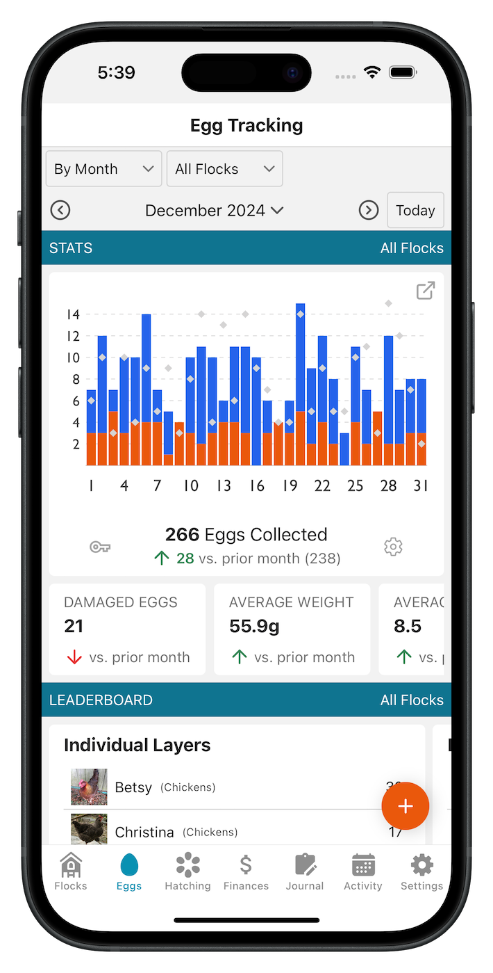 Flockstar iPhone App